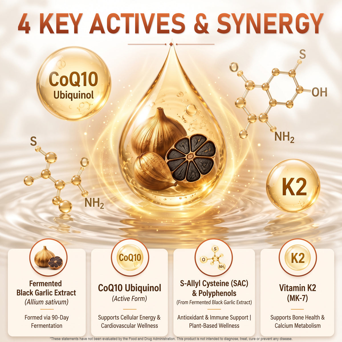 Black Garlic Extract with CoQ10 Ubiquinol & Vitamin K2 – Kenofor