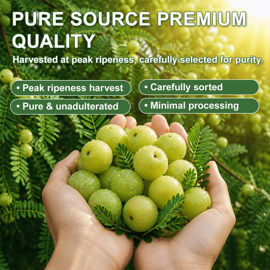 Kenofor Amla Extract Capsules 1000mg | Indian Gooseberry Antioxidant Supplement