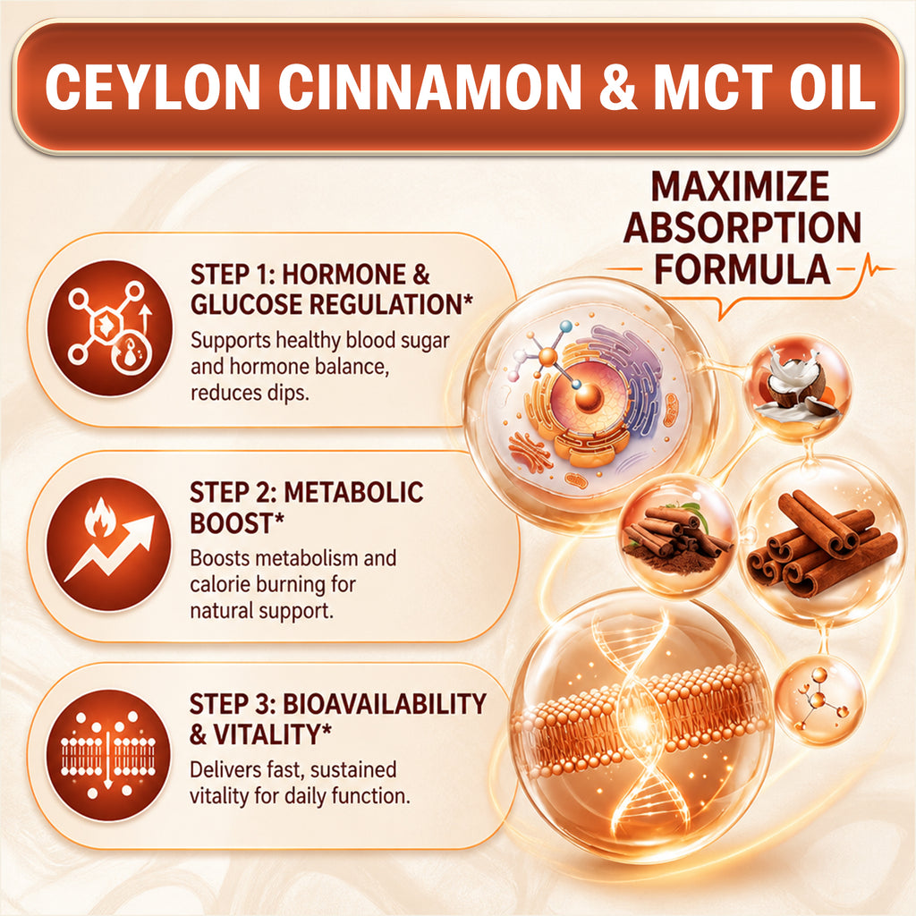 Kenofor® Organic Ceylon Cinnamon 550mg with MCT Oil – High Absorption Softgels for Healthy Blood Sugar, Glucose Metabolism & Heart Support (120 Softgels)